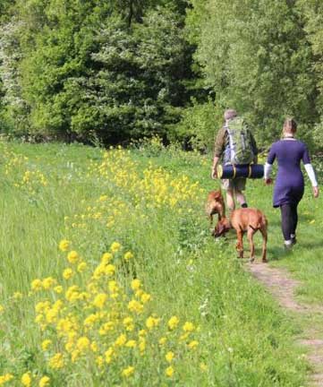 dangers for dogs hiking idaho