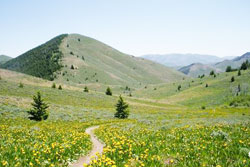 dog parks and hiking trails in sun valley idaho