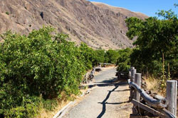 dog parks and hiking trails in santa barbara california