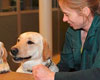 vet in  sun valley, idaho